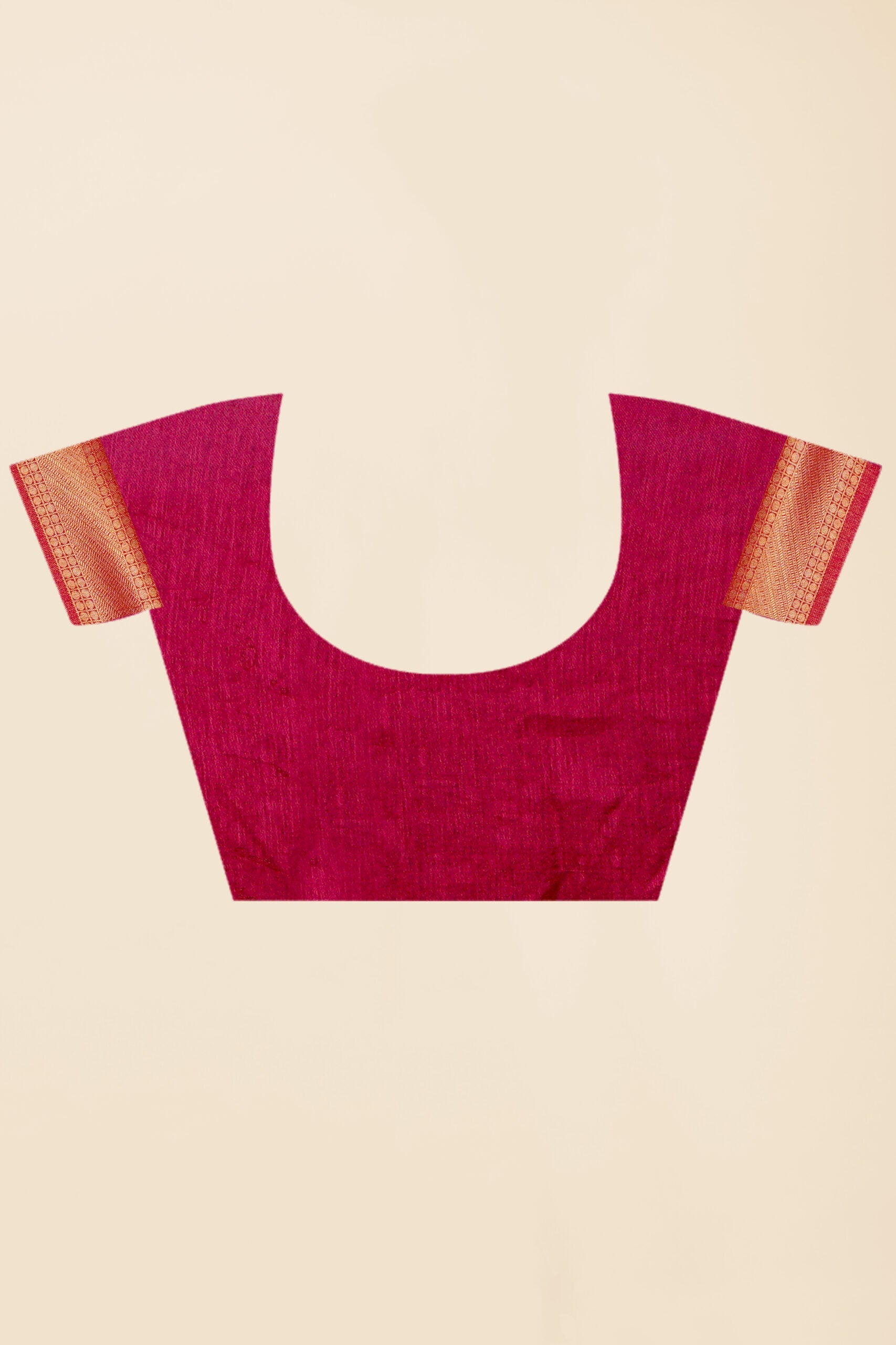 Beige Zariwork Tissue Silk Saree 