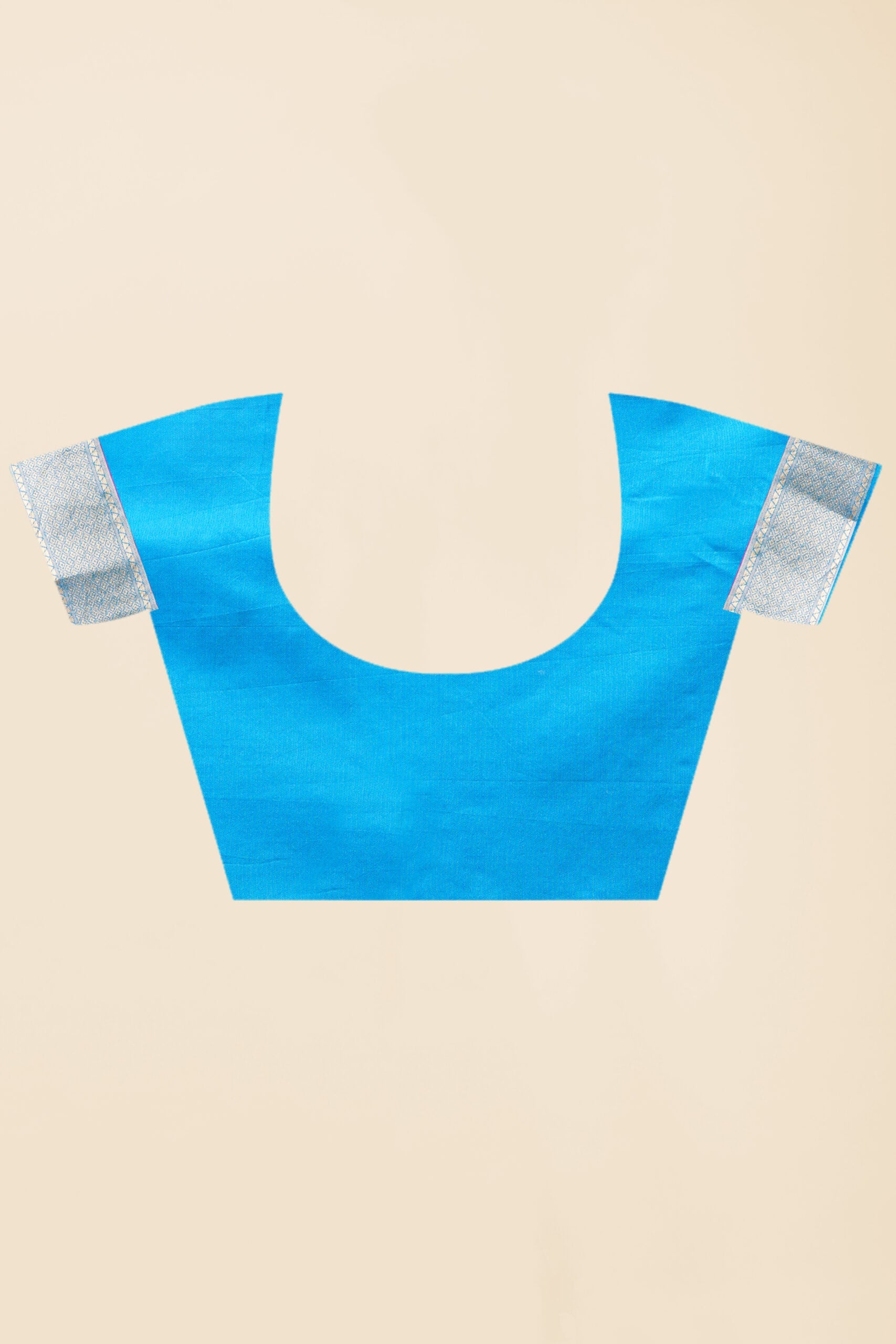 Blue Zariwork Tissue Silk Saree 